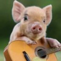 88c611a0688978e45cc4c7943f32a1292713a972