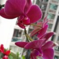 817d98cecd33edc584738136df5565192c885e3a