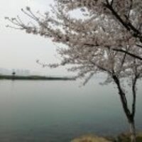 Be26c921e475624868d940cdf3734d19c6020aca