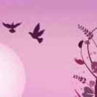 41e98826baf6294607fb9c89f835384c6700df01