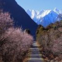 91f5fe6b7a992357e3985ec95e1fed116d2f3c59