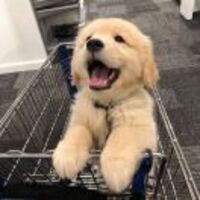 08bf1ac7c59c860d119e7070e158c526b41ab855