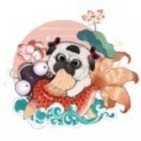 95c949f8e7051a1c94e55bfeaf4c6c0ea5269ddc