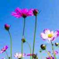 C5bda40d4d4a88bd4e7ad2cada7d44a1a97ac4c2