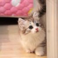 E9911dfabd0dd3b8601de6222365137be13337f0