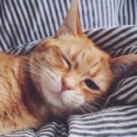 A5d0067fe1024d9225f96caf2d17bb725830d071