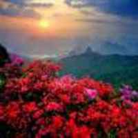 1cf20047912cb4f19bea9019ed15585161d93b16