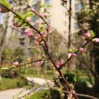 Cd4ffa1b7f86267978e563ee2b57f883b2dd9bcc