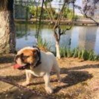 959fcacd61eea979bbd1b267f31a2478eca3279b