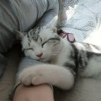 21f76417b32b2ad912f25fd514863c127cc86722