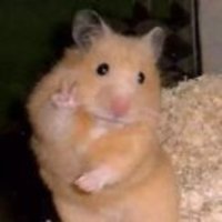 99bfae488412a120be11628c680bd9407ea4c40a