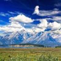 E1558a65383589a7cdf5be3d9890fd7838bf7517