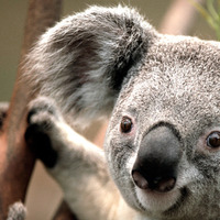 22ed859fa75a2f3f68610adaf5cd1c060fd08321