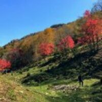 2d86767d3bb04688f17f32bb17d6d138ce5ab1f1