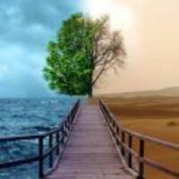 A1523703447b57cfc9047ce36c3e953873d67bf2