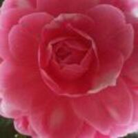 00fee6d91d1082c761ecd470c1c24e59a3183a26