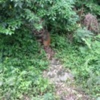 30ae79b4dafa03224c3dd870e2e345b0583ccb0c