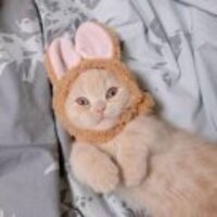 E6b3ee9a043c8c9b2f62990c7f80f78ed5a97d0c