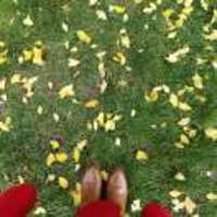 782e89785261aeaeb441d9bf5a741ca46fa9d9c3