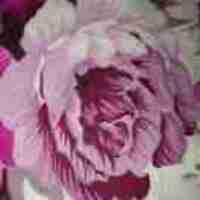 9f1e1922147321d54599a53987a5673d4696f339