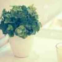 D5d485da93feeca37bcb304ac4a41a26f4d638ce