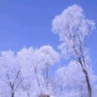 698bf4c02993b5de72e65376ce800850eaaefdd0