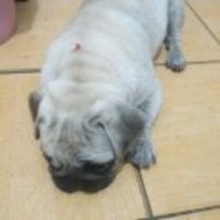 0c286078dcc7552d77950aa74255eb11fe91d628