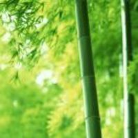 B168f6656da18ff5a1cd6031e451f3bc80457cbf