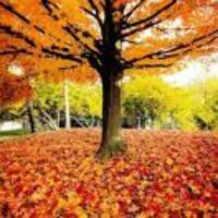 881921deb9806684886875c2cb00e9026815f7b8