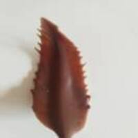 23972fe36e74fd171c5c07732b580930cad0ce6a