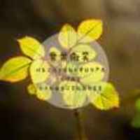 F70fb9ae00f55aefc405abe8ed4faaf98d3827bb