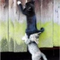 C456285466a551b2b8007c437b5aa584d54c4485