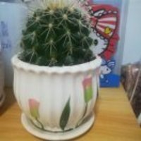 282ead08f5c05ad3c15d7d14e2420a9b56fd1e43