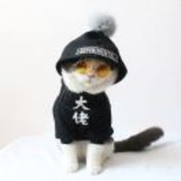 38734e1dea6cad133bd58d4b3ea9a75901b5d909