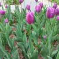 9efbc5b28036fcd123f1581675af21995f91d76c