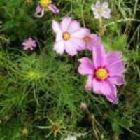 F93dc345339209c4df3a7d0a0e1dbd7fe958029b