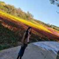 7a87da1e938f01511f2e577814d365a2e11f17e5