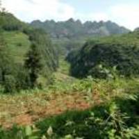 219322c7f2897b4ec16d1cecb653fe0a386086a4