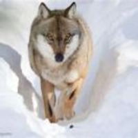 D213811077e1ebc87f29d6f8045aae921f240ef2