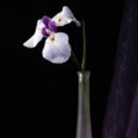 D223cb0c3486d97b57374e05e4b83be1ce11ed4a