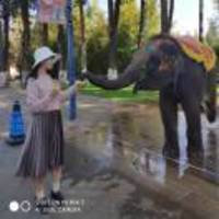 84c8c554e60eb0bccf169fb27c974fb32e8bb23f