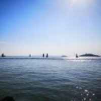 C0f1359b85379e0f20ae852a2e8a83c89a829473