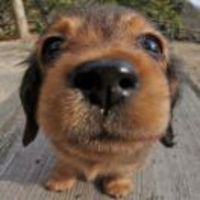 46a9a0cb51a373e27164968531f7402fec8723f8