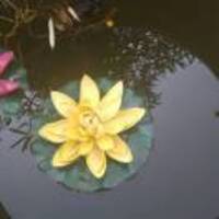 558888f787d10794ccc01785e8a2f75d7d4d6aa6