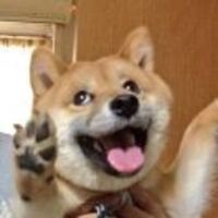 88dc1ee5e6e0edf7ea258632c5f35e6c7a28a875