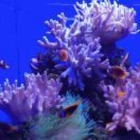 Ad9a1b1cdc1fd1ac880e85be6c67c989844f00cc