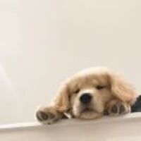 D8296308a6f7d1c6940f9a1d3b846918c195347d