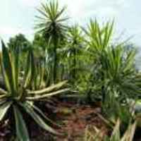 538d98ebccfe47d8aad3e93eee8e431127beaba5