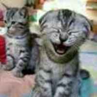 8171484ead9a5541eb408e9a85793eedd9bf7523