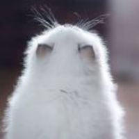 B23d9a5cfc71d0143c1fbb6404736445cf4d8b19